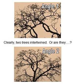 constructing model railroad trees